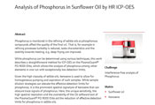 Analysis of Phosphorus in Sunflower Oil by HR ICP-OES